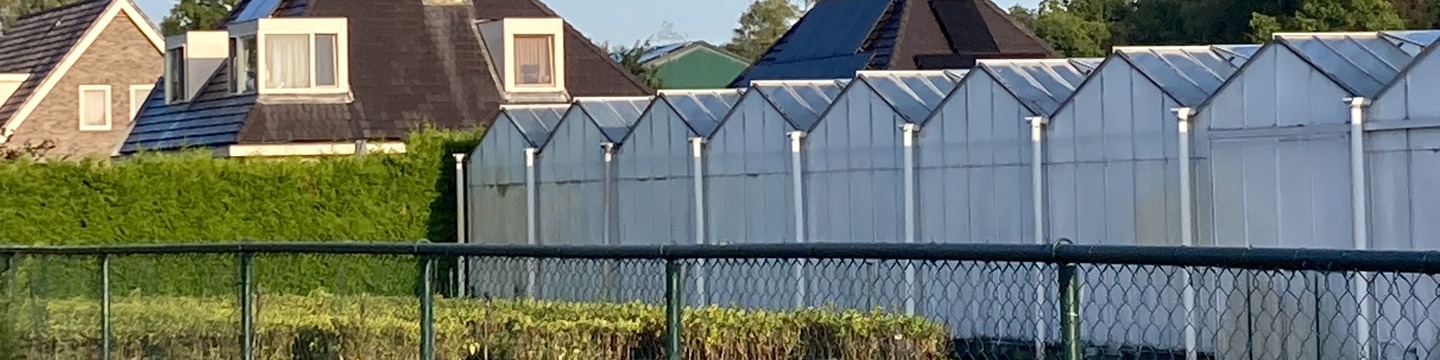 landschap met kas met bloemen