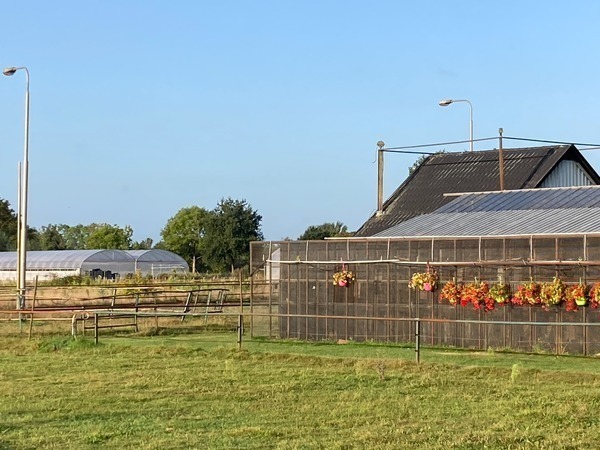 landschap met kas met bloemen