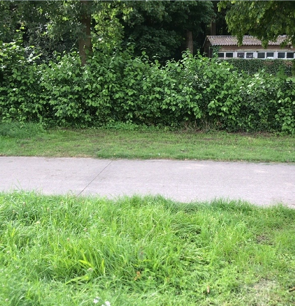 Locatie Wapenveld, Parallelweg